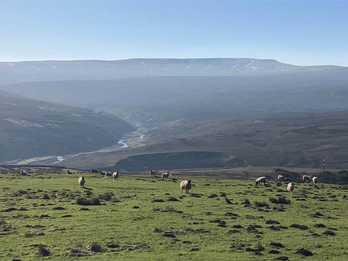 Robsons Cottage Alston Dış mekan fotoğraf